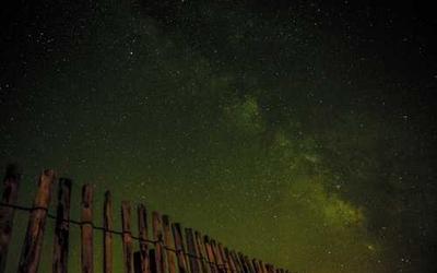Blog 5